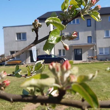 Noclegi Nad Biebrza Stara Szkola Wrocen ภายนอก รูปภาพ