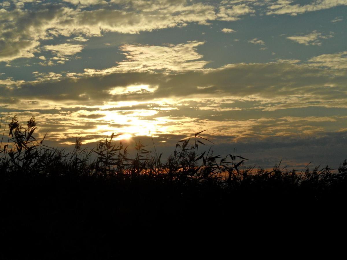 Noclegi Nad Biebrza Stara Szkola Wrocen ภายนอก รูปภาพ
