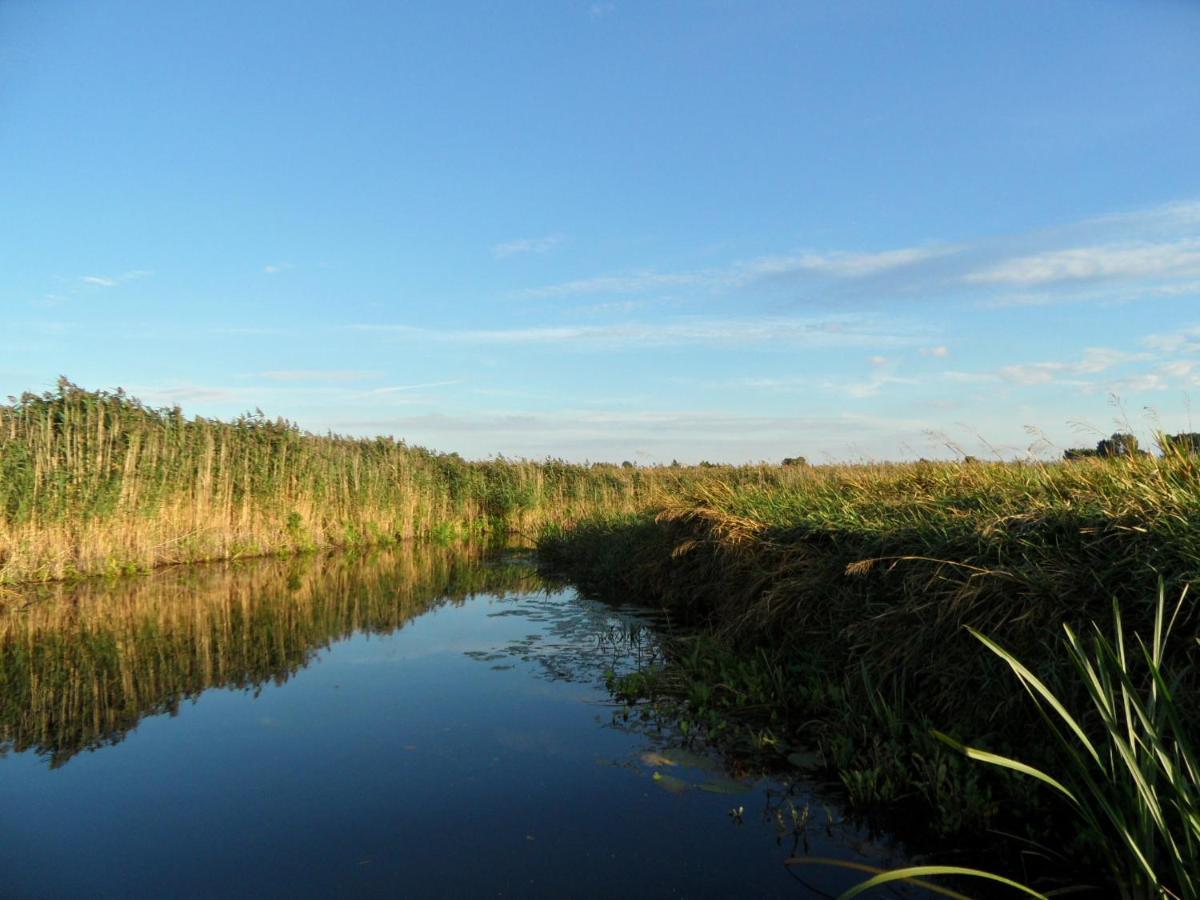Noclegi Nad Biebrza Stara Szkola Wrocen ภายนอก รูปภาพ