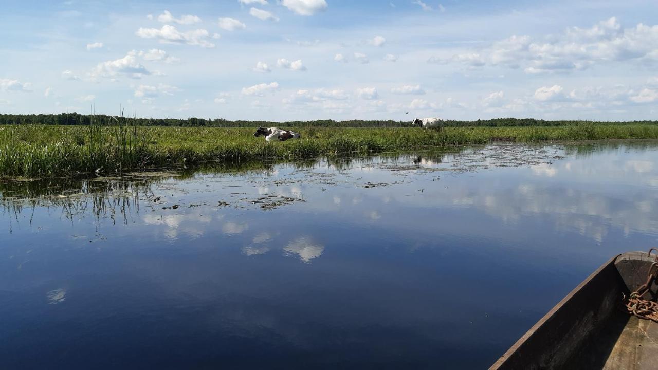 Noclegi Nad Biebrza Stara Szkola Wrocen ภายนอก รูปภาพ