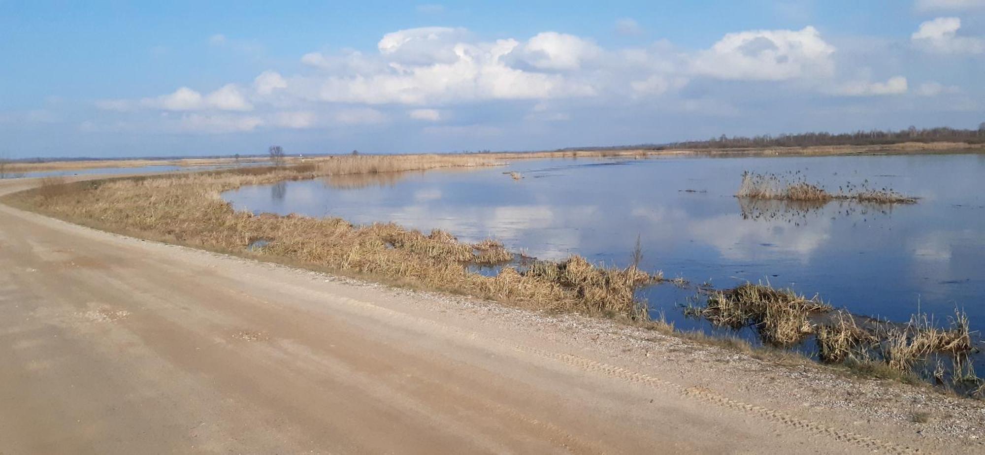 Noclegi Nad Biebrza Stara Szkola Wrocen ภายนอก รูปภาพ