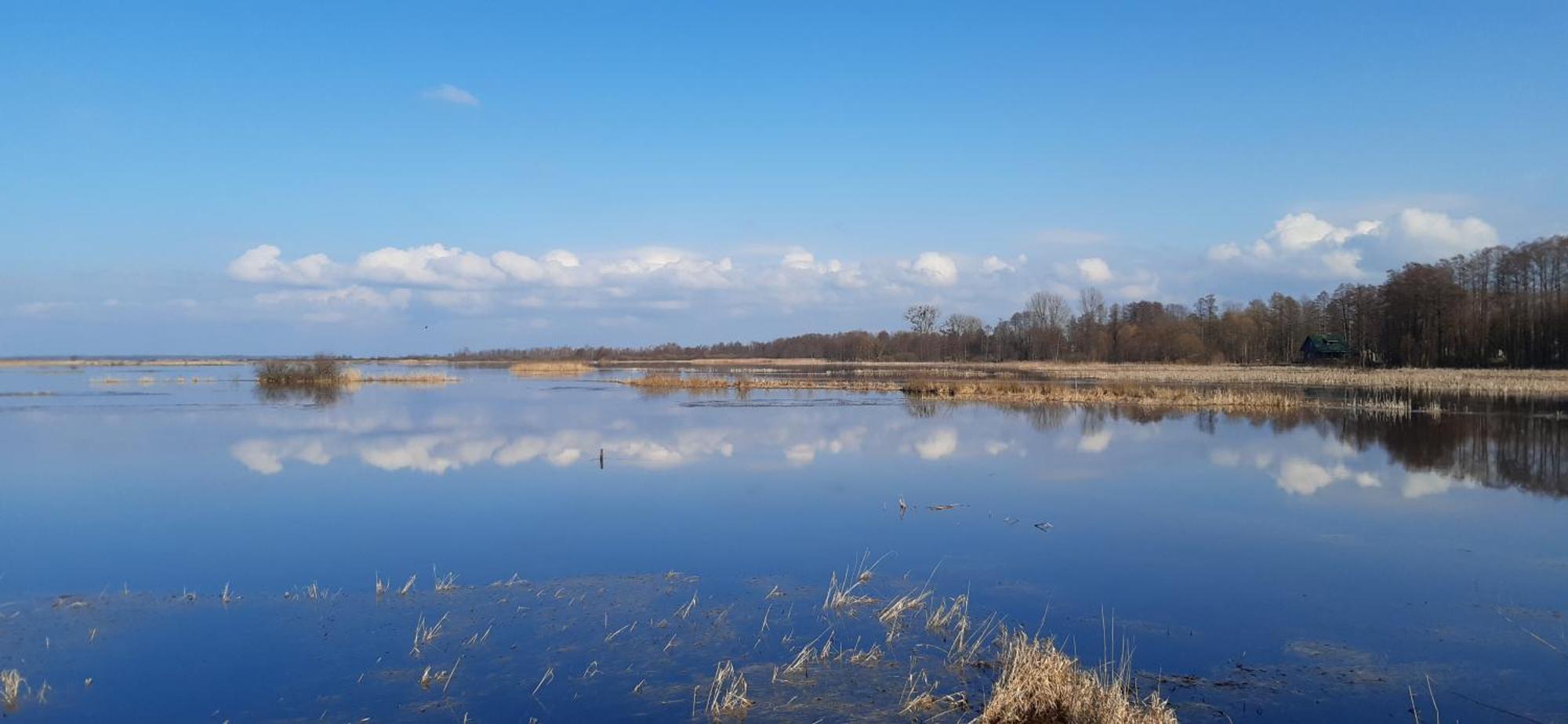 Noclegi Nad Biebrza Stara Szkola Wrocen ภายนอก รูปภาพ