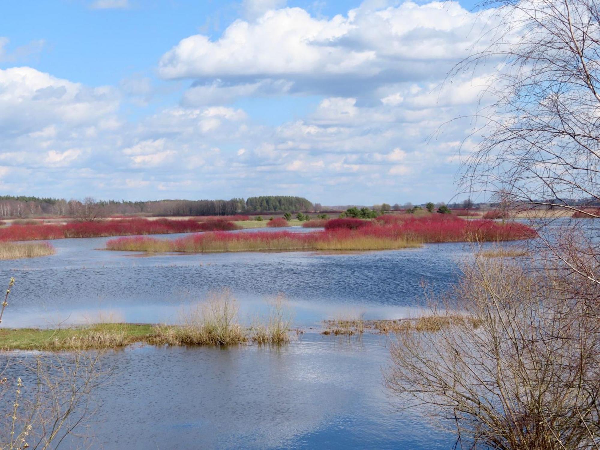 Noclegi Nad Biebrza Stara Szkola Wrocen ภายนอก รูปภาพ