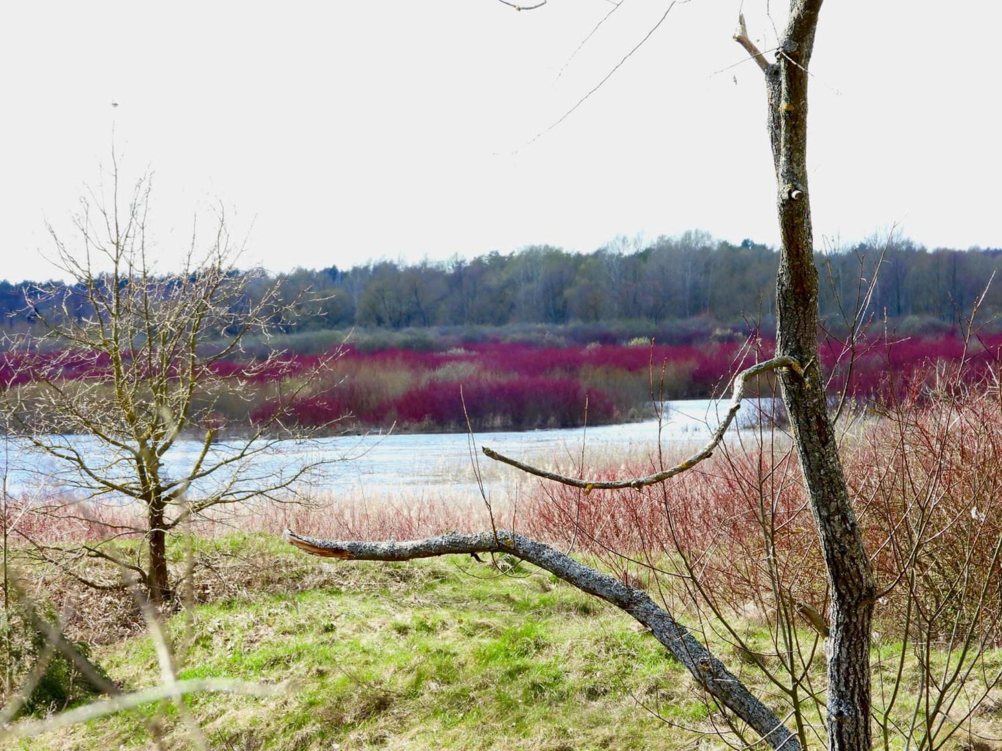 Noclegi Nad Biebrza Stara Szkola Wrocen ภายนอก รูปภาพ