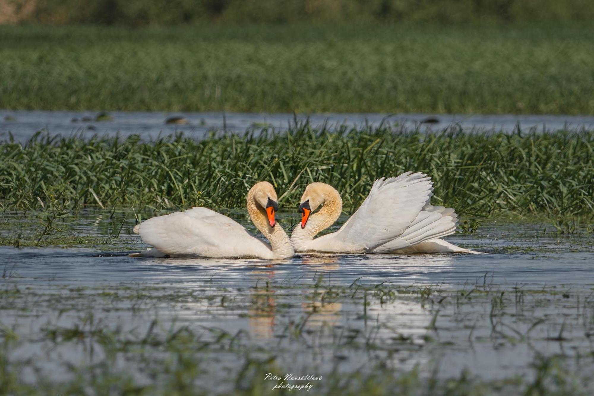 Noclegi Nad Biebrza Stara Szkola Wrocen ภายนอก รูปภาพ